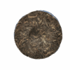 PU-ERH SHENG 2023 (100g) - Image 2